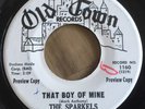 The Sparkels - That Boy of Mine/Try Love - RARE Northern Soul Girl Group 45 WLP