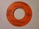 BRUCE JORDAN Private Florida Power Pop 45 HEAR E58