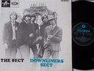 THE DOWNLINERS SECT   