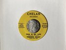 THEODIS EALEY Rare Soul Funk 45 THIS IS MY LIFE   CHELAN (M-)