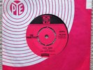 The Primitives   You Said    60s Gem
