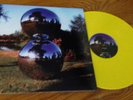 PINK FLOYD Hyde Park July 2005 Coloured Vinyl LP