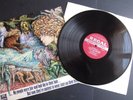 TYRANNOSAURUS REX LP ' MY PEOPLE WERE FAIR AND HAD SKY IN THEIR HAIR ...