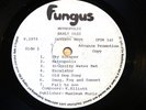 Fungus/Metropolis/Early Daze/Seventh Wave/1973 Private Pressing LP/Promo/RARE