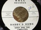 Excellent 1961 Doo-Wop 45 - SHEP & LIMELITES 