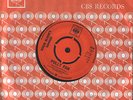 Roger Blooms Hammer Polly Pan 7