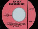 70s Funk/Deep Soul 45 - Allison - It's Hell - Ansap - VG+ mp3 - obscure
