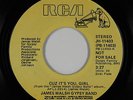 70s Soul 45 - James Walsh Gypsy Band - Cuz It's You Girl - RCA - mp3 - promo