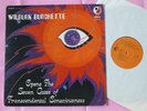 WILBURN BURCHETTE Open the Seven Gates Orig 1972 Private US Psych Folk + Book