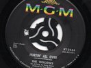 HEAR - THE WILLOWS - HURTIN' ALL OVER/KINDA GUY - MGM 1966 MOD/NORTHERN