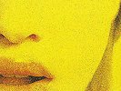 Fantastic Plastic Machine / Contact