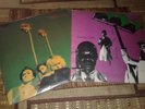 Gun Club Vinyl Set Fire of Love Munster Records Miami Animal Records Punk vinyl