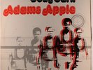 DOUG CARN: Adams Apple LP (WLP, Quadrophonic, stain spots on cover @ bottom sea