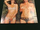 SEALED ORIGINAL ROXY MUSIC “COUNTRY LIFE” VINYL LP 1974 ATCO 36-106