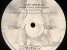 ANDREA TRUE CONNECTION MORE MORE MORE TOM MOULTON UNOFFICIAL 12 BUDDAH DISCO 102