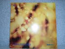 STEAMHAMMER-REFLECTION CBS -1969-63611