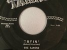 Saxons 'Tryin'