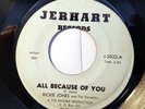 Rickie Jones & The Versatiles PRETTY BABY 45 on Jerhart RARE Northern Soul