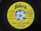 THe Strollers | Baby Eyes / You're The Only One For Me | R&B Doo Wop 45 | NM-