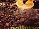 Franco Battiato Pollution Lp Originale Prog