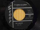 Jaguars 45 It's Gonna Be Alright / Never Dream Of You - Skoop VG++ garage