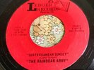 Illinois Garage Psych Fuzz Ripper 45 Raindear Army Subterranean Sunset EX HEAR