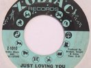 RUBY ANDREWS Just Loving You ZODIAC 45 northern soul original 1968 7” HEAR mp3