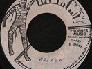 General Echo - ARLEEN / Stalag 19 Version Blank 1st Press JA PRESS REGGAE 45 7