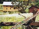The Stanley Brothers Of Virginia – Vol. 2 (Long Journey Home) - SAVE 40 - LP ...