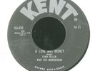 TONY ALLEN & THE WANDERERS Everybody's Somebody's Fool KENT 1961 DOOWOP 45 NMint