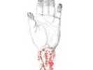 `Converge - You Fail Me: Redux [LP] (White Vinyl, down (US IMPORT)  VINYL LP NEW