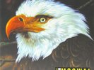 Mogwai The hawk Is Howling 2XLP Sealed HQ-180Gram Vinyl Pressing  New OOP