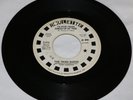 60'S GARAGE PUNK / THE THIRD BARDO / 
