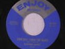 ELMORE JAMES: Everyday I Have The Blues / Dust My Broom 45 Blues & R&B