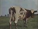 Pink Floyd Atom Heart Mother - Quad Japanese vinyl LP album record EOZ-80008