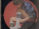 Picture Vinyl Linda Ronstadt Living In The USA Asylum