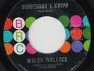 WALES WALLACE Somebody I Know RARE northern soul 45 STUNNING COND crossover HEAR