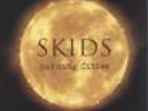 Skids vinyl LP album record Burning Cities - Red Vinyl + Sealed UK NB3LPX