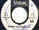 * ART GUY Where You Gonna Go/Teenage Millionaire FUZZ GARAGE Valiant 45 Hear