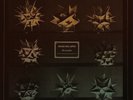Dead Sea Apes ?- Recondite - DLP 2018 - Cardinal Fuzz