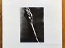 TOSHI TSUCHITORI Ajagara - Solo Drums Vinyl Record LP Private Press Jazz 1980 EX