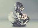 BARAZ,ALINA / GALIMATIAS-URBAN FLORA (GATE)  VINYL LP NEW