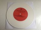 Al Jardine Beach Boys Don’t Fight The Sea b/w Friends 7” White Colored Vinyl 45