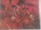cannibal corpse born in a casket vinyl