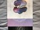 WOLF ALICE - CREATURE SONGS - VERY RARE 10