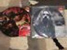 Rob Zombie Vinyl Lp Picture Disc, Venomous Rat & Educated Horses