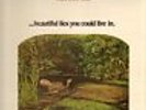 LP Tom Rapp, Pearls Before Swine ...Beautiful Lies You Could Live In. Reprise