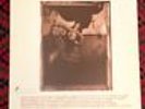 Surfer Rosa - Pixies Vinyl (1988) Music Record (2007 Press)