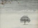 Genesis Wind & Wuthering Portugese vinyl LP album record 9124003 CHARISMA