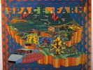 Space Farm  Zodiac ZLP 1042  Going Home to Eternity  New Zealand Psych Rock